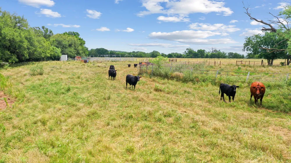 Goen Road Millsap, TX 76066