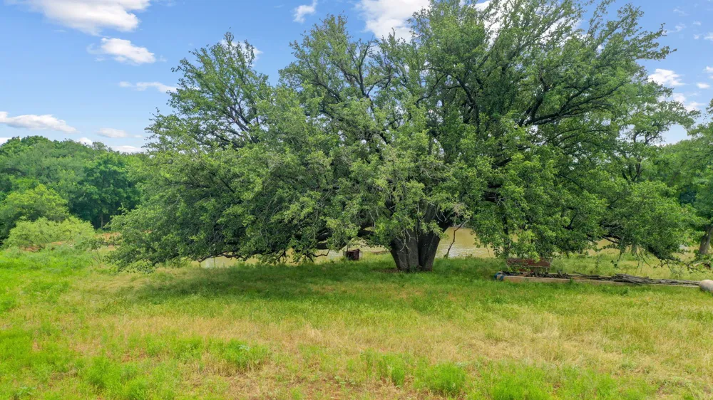 Goen Road Millsap, TX 76066