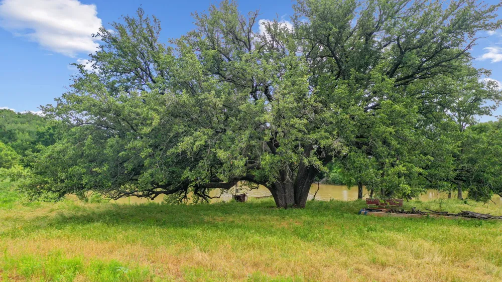 Goen Road Millsap, TX 76066