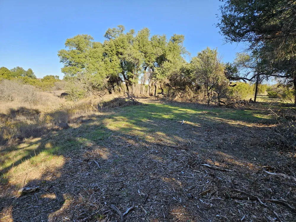 442 Hollow Drive Lipan, TX 76462