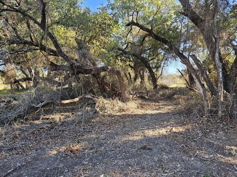 442 Hollow Drive Lipan, TX 76462