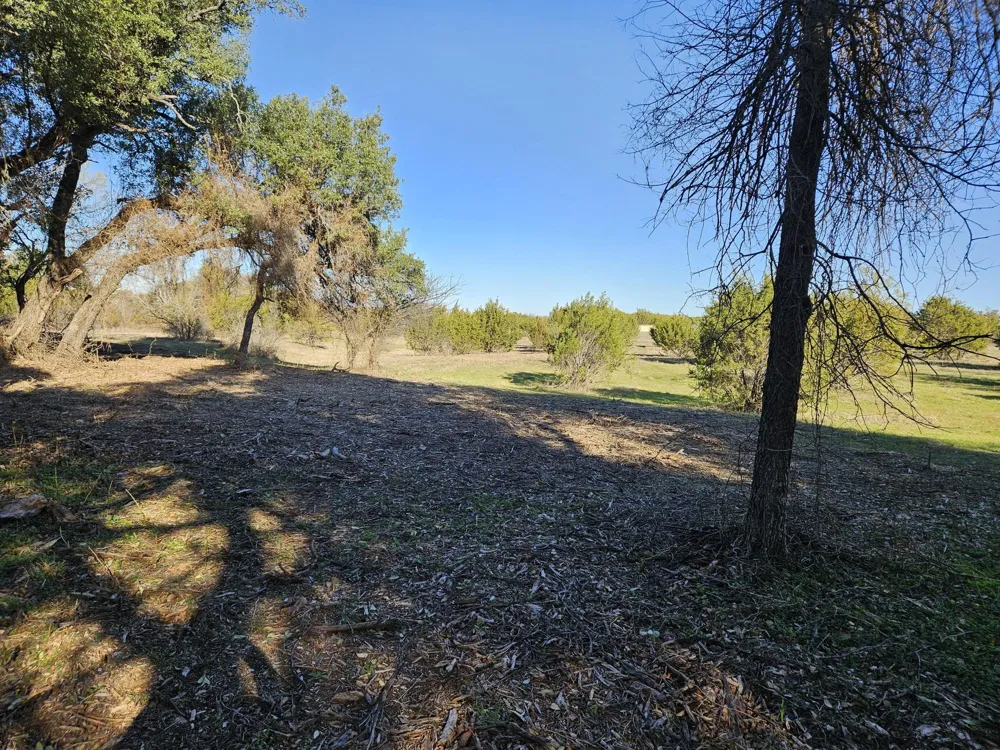 442 Hollow Drive Lipan, TX 76462