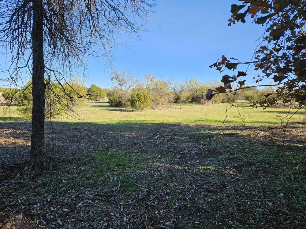 442 Hollow Drive Lipan, TX 76462
