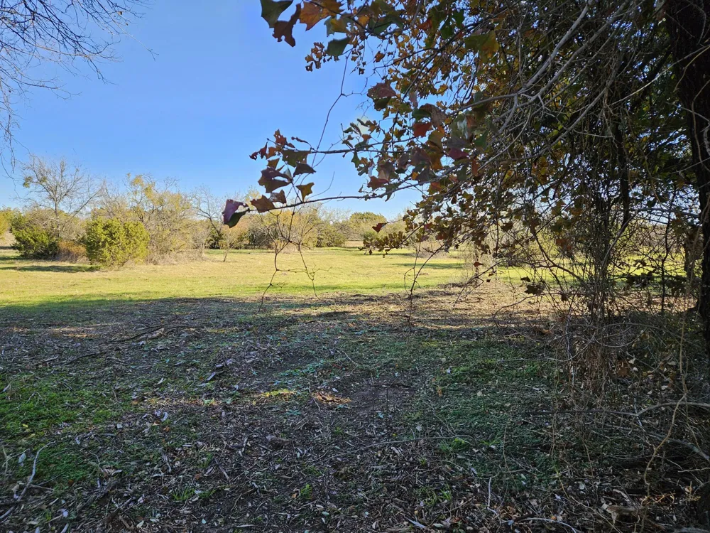 442 Hollow Drive Lipan, TX 76462