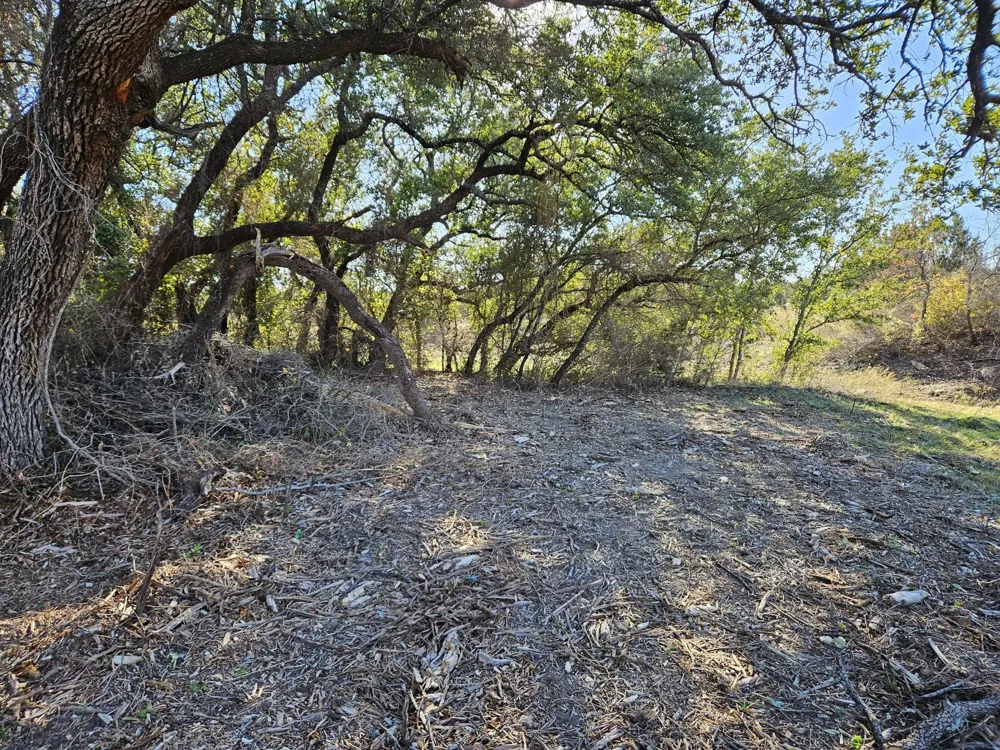 442 Hollow Drive Lipan, TX 76462