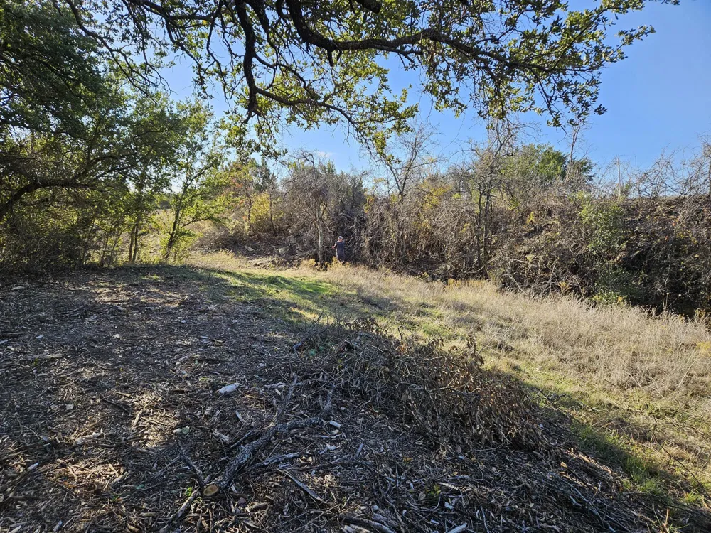 442 Hollow Drive Lipan, TX 76462
