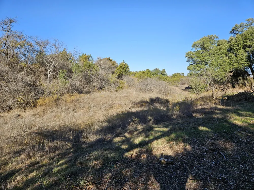442 Hollow Drive Lipan, TX 76462