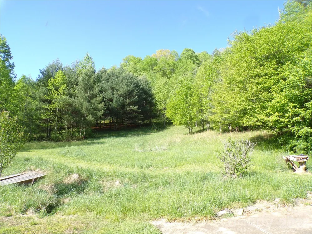 145 Kirks Drive Hot Springs, NC 28743