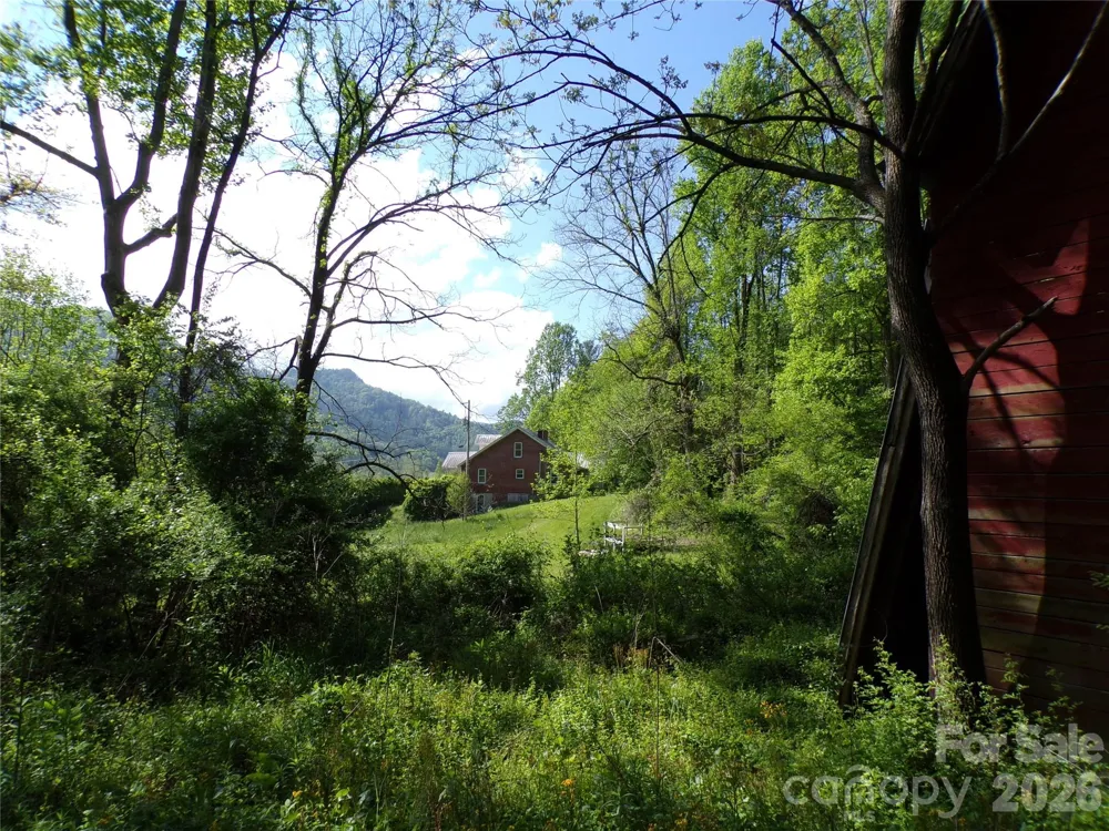 145 Kirks Drive Hot Springs, NC 28743