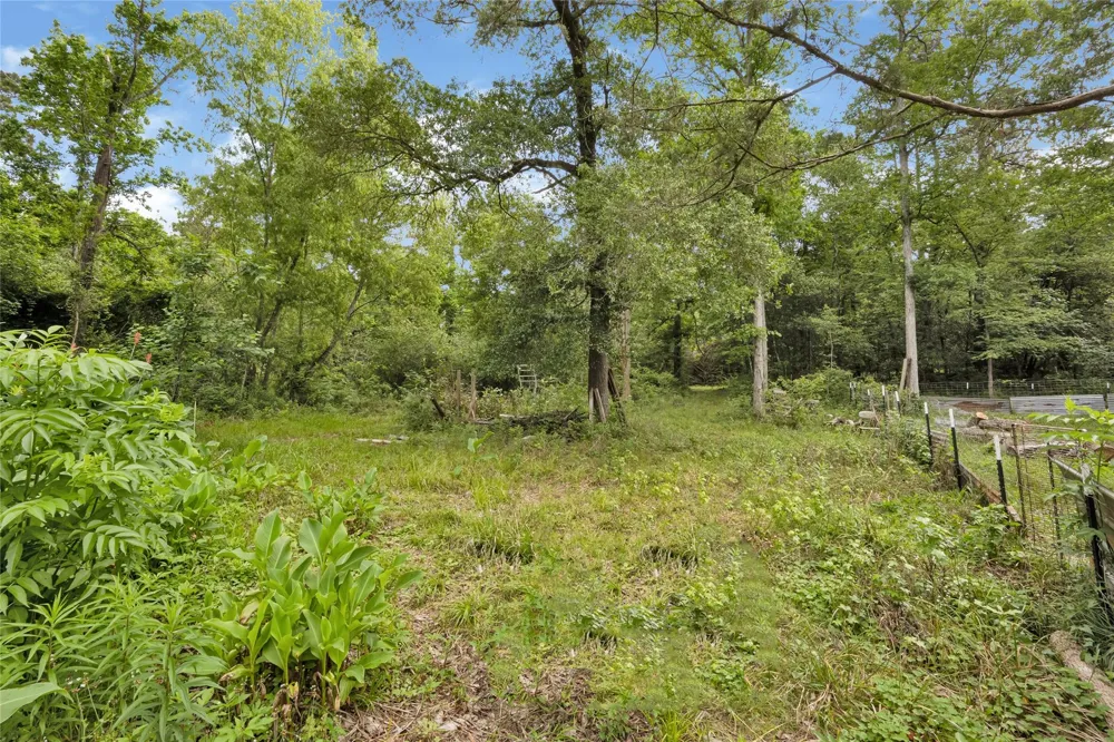 1919 Ole Long Pull Road Livingston, TX 77351