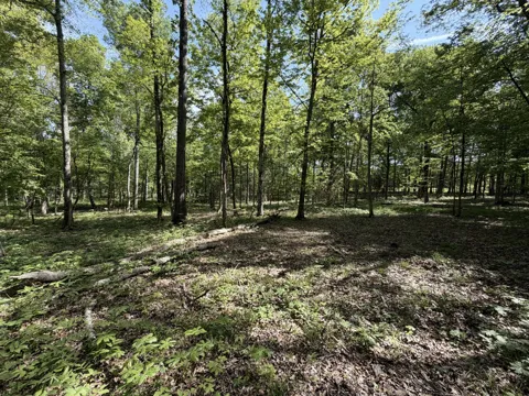 0 Millersburg Road