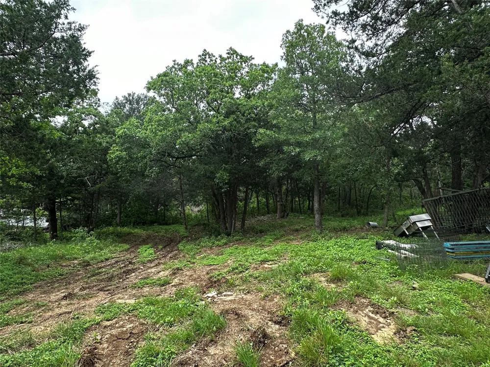 115 Antler Cove Cedar Creek, TX 78612