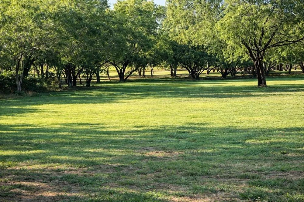 1655 County Road 412 Stockdale, TX 78160