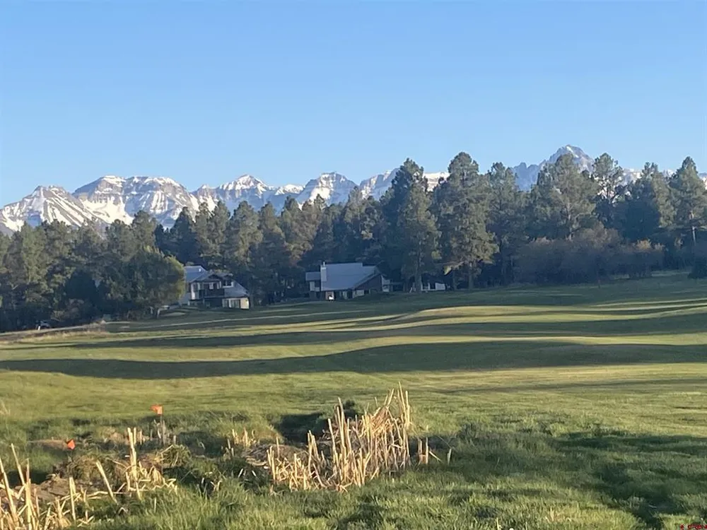 176 Bear Cub Drive Ridgway, CO 81432
