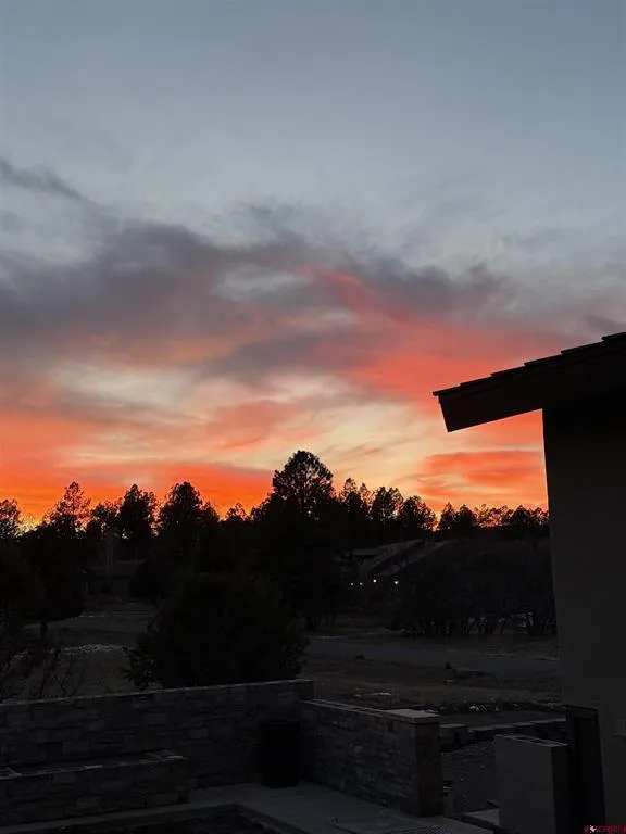 176 Bear Cub Drive Ridgway, CO 81432