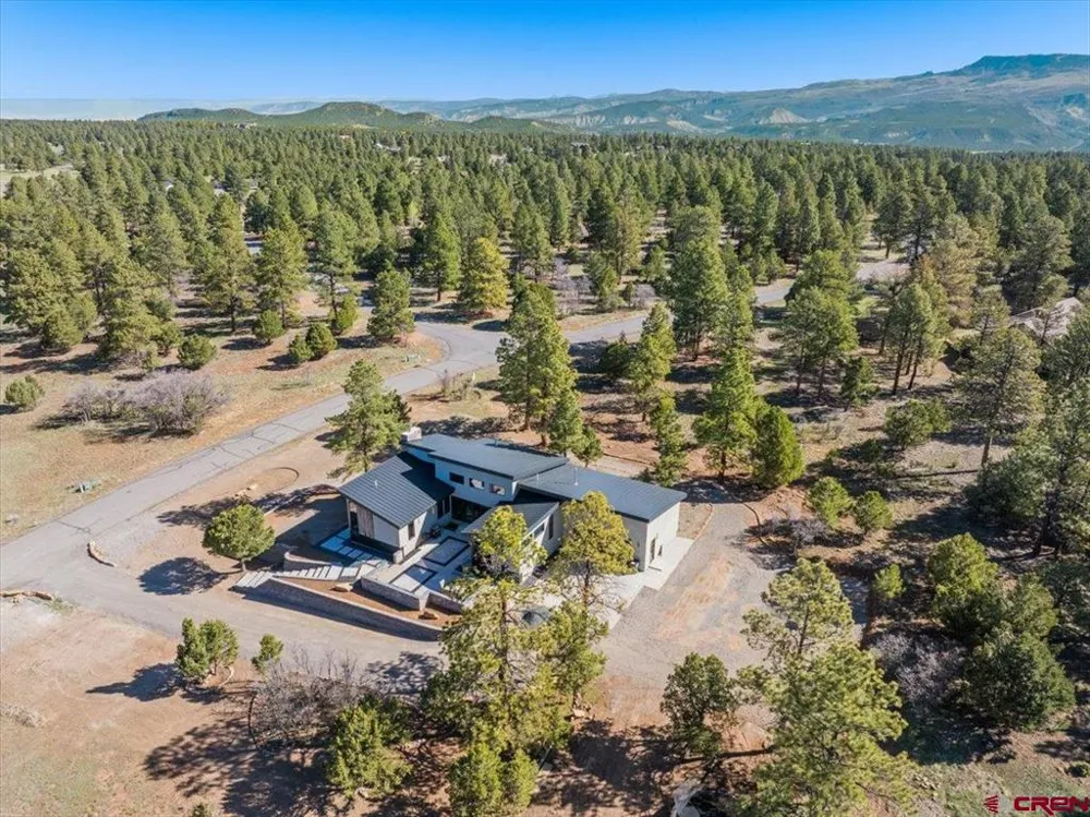 176 Bear Cub Drive Ridgway, CO 81432