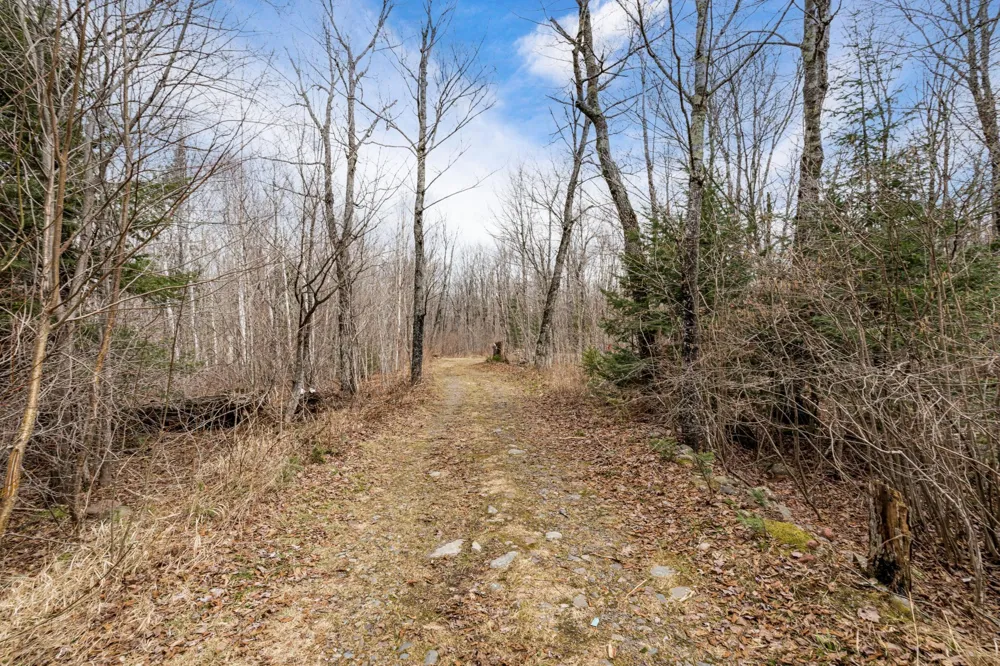 4598 McAlpine Spur Road Two Harbors, MN 55616