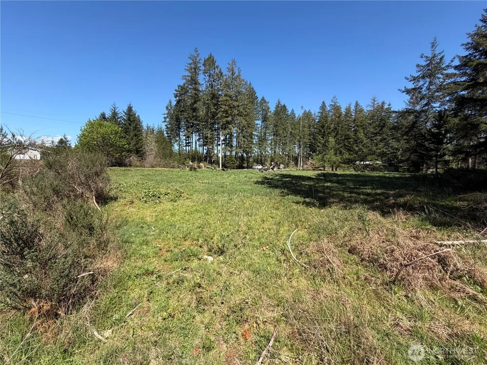 170 W Blackberry Lane Elma, WA 98541