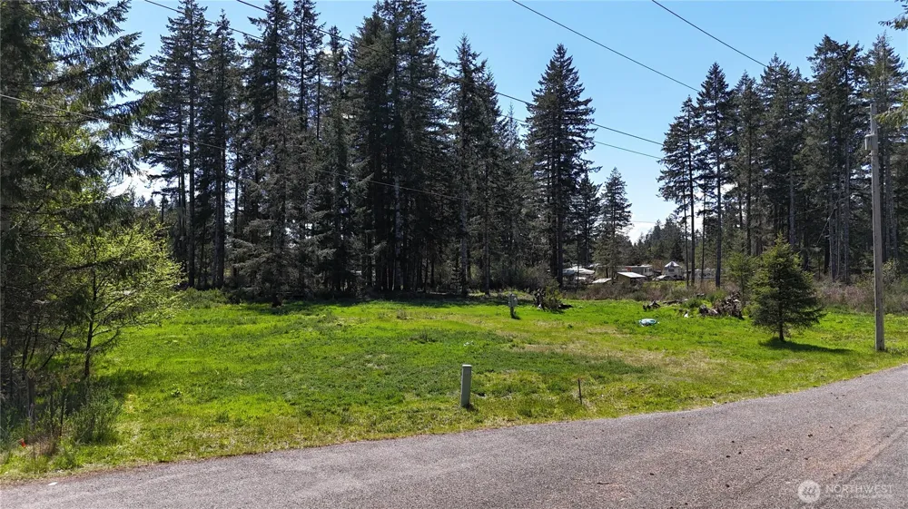 170 W Blackberry Lane Elma, WA 98541
