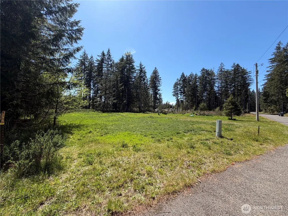 170 W Blackberry Lane Elma, WA 98541