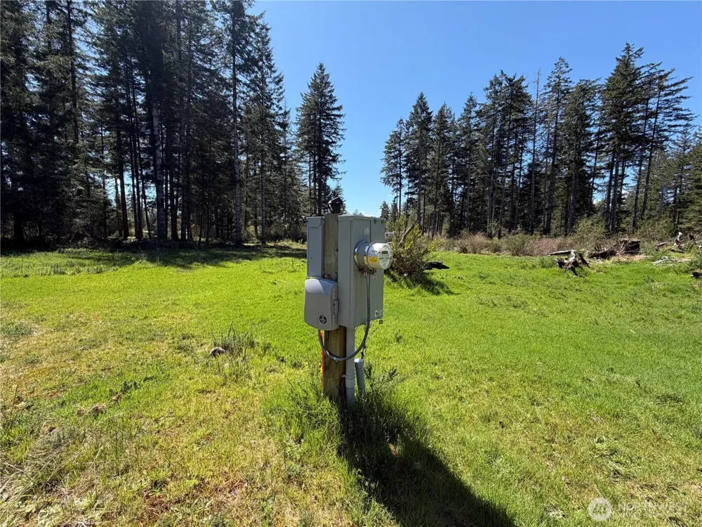 170 W Blackberry Lane Elma, WA 98541
