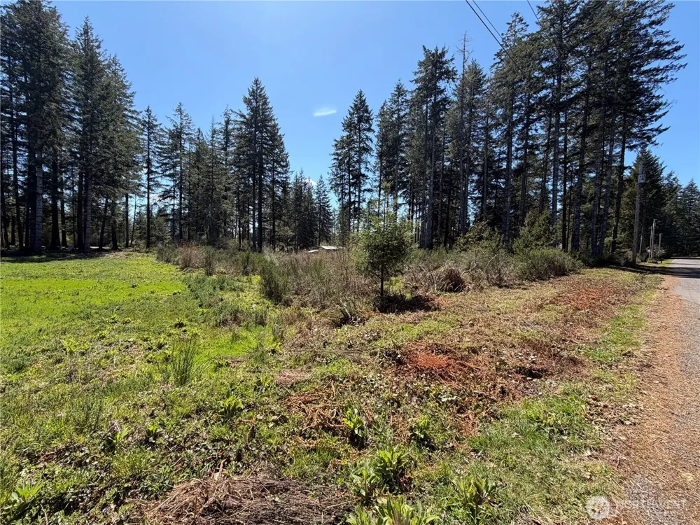 170 W Blackberry Lane Elma, WA 98541