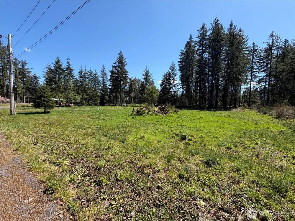 170 W Blackberry Lane Elma, WA 98541
