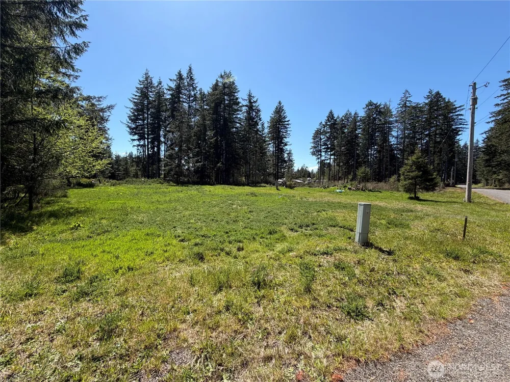 170 W Blackberry Lane Elma, WA 98541