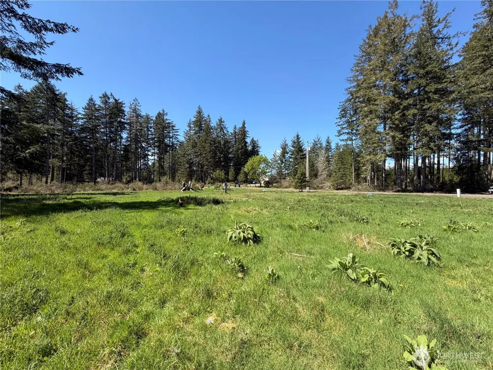 170 W Blackberry Lane Elma, WA 98541