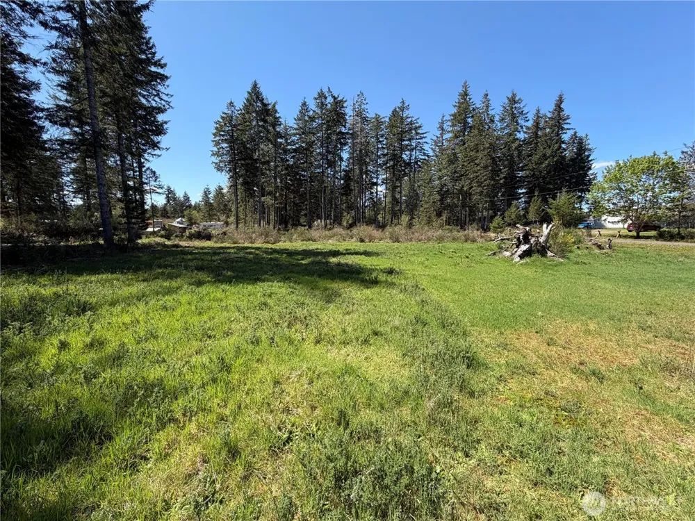 170 W Blackberry Lane Elma, WA 98541