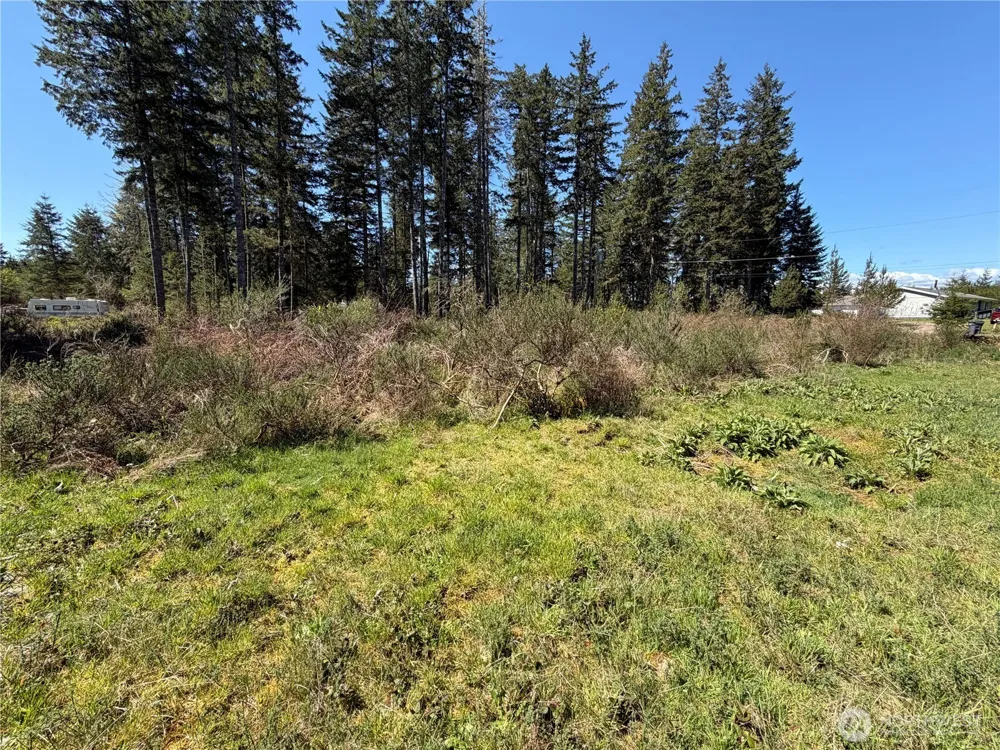 170 W Blackberry Lane Elma, WA 98541
