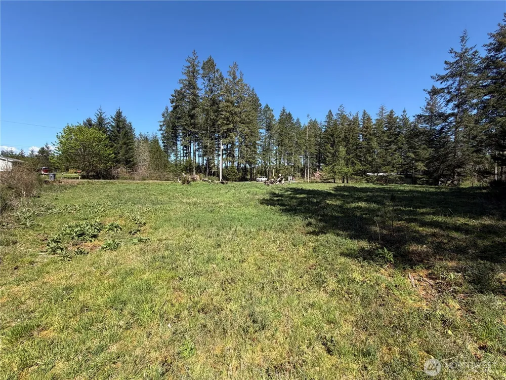 170 W Blackberry Lane Elma, WA 98541