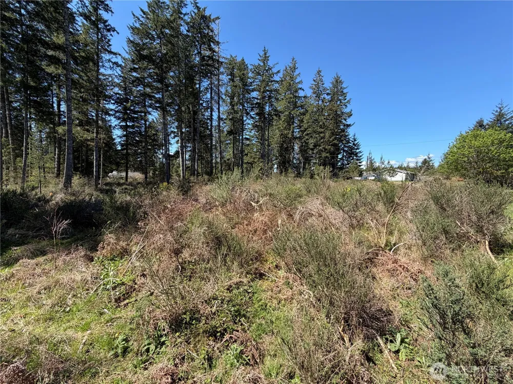 170 W Blackberry Lane Elma, WA 98541