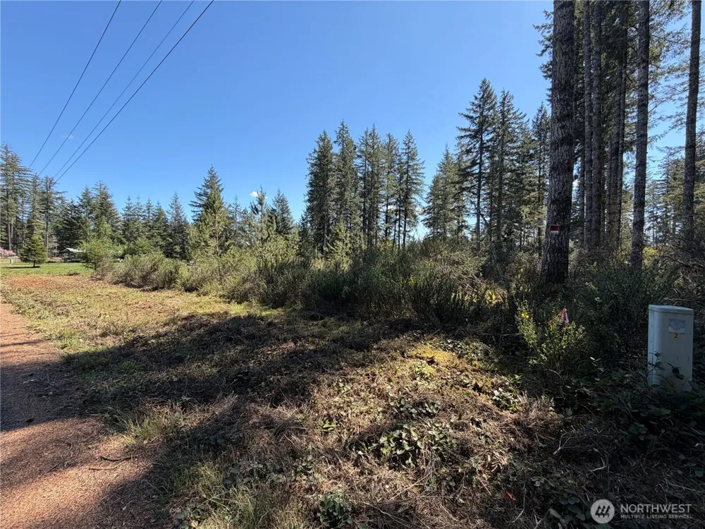 170 W Blackberry Lane Elma, WA 98541