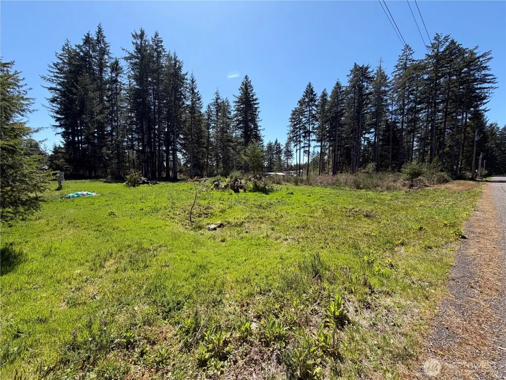 170 W Blackberry Lane Elma, WA 98541