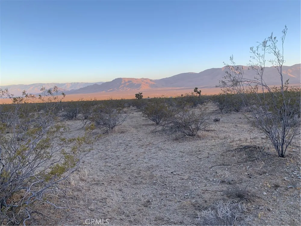 VL Near Lucerne Valley Cutoff Barstow, CA 92311