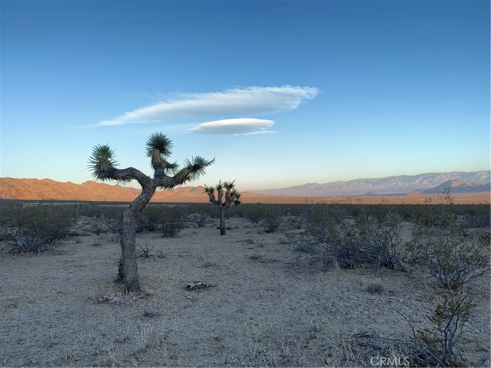 VL Near Lucerne Valley Cutoff Barstow, CA 92311
