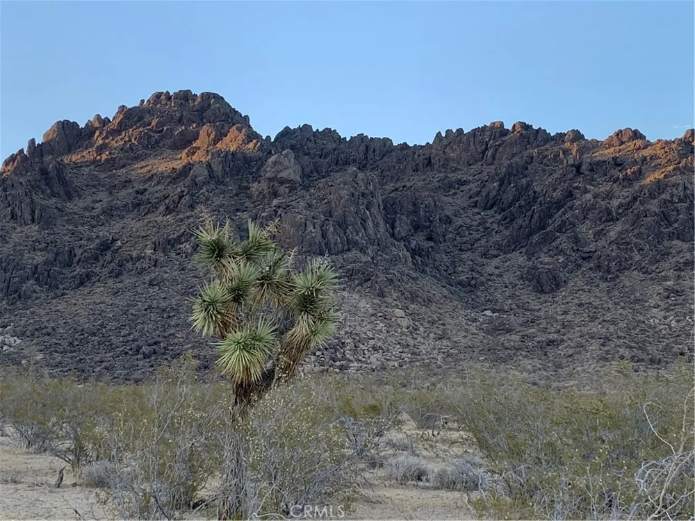 VL Near Lucerne Valley Cutoff Barstow, CA 92311