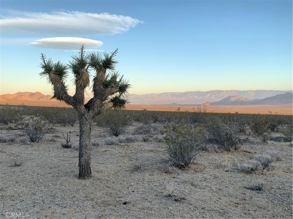 VL Near Lucerne Valley Cutoff Barstow, CA 92311