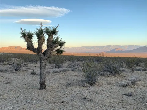 VL Near Lucerne Valley Cutoff