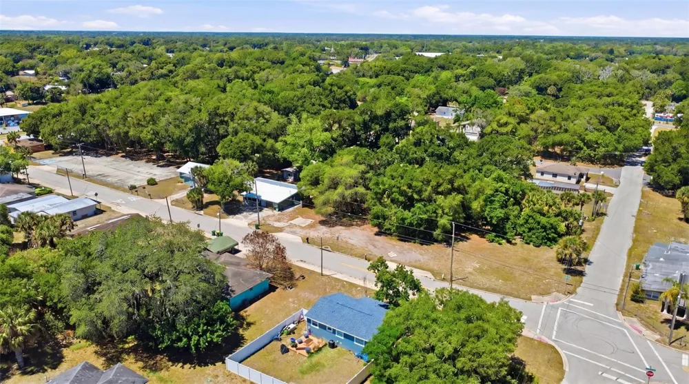2559 HARRY T MOORE AVENUE Mims, FL 32754