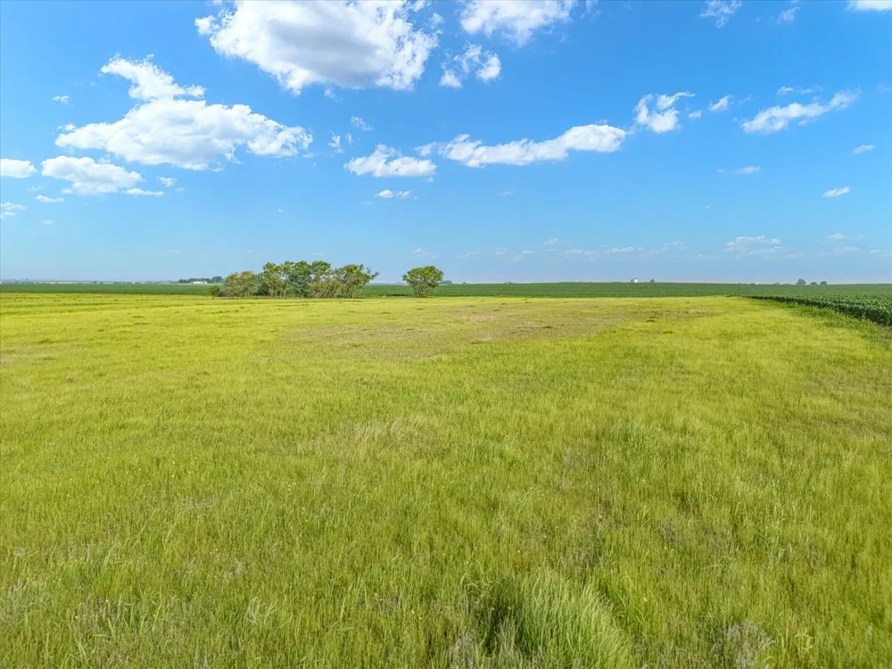 HCR 4123 Itasca, TX 76055