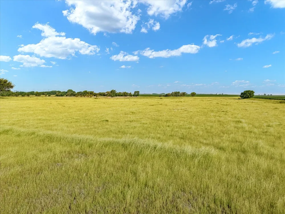 HCR 4123 Itasca, TX 76055