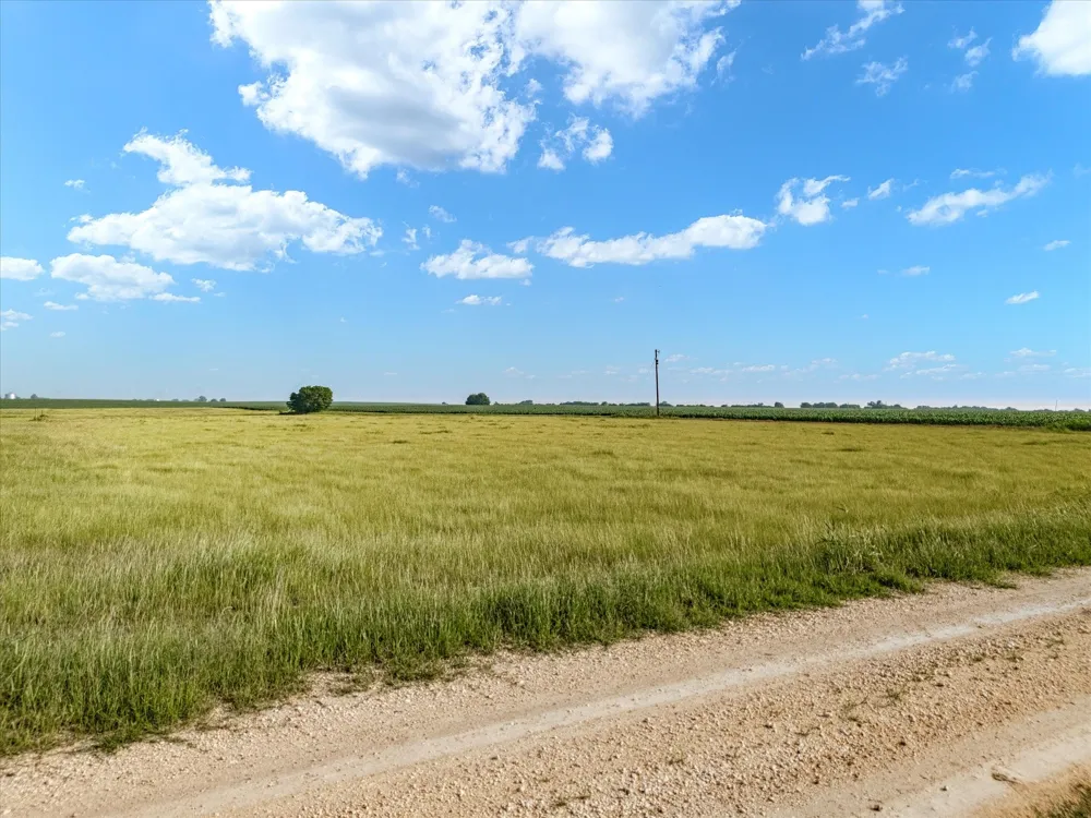 HCR 4123 Itasca, TX 76055