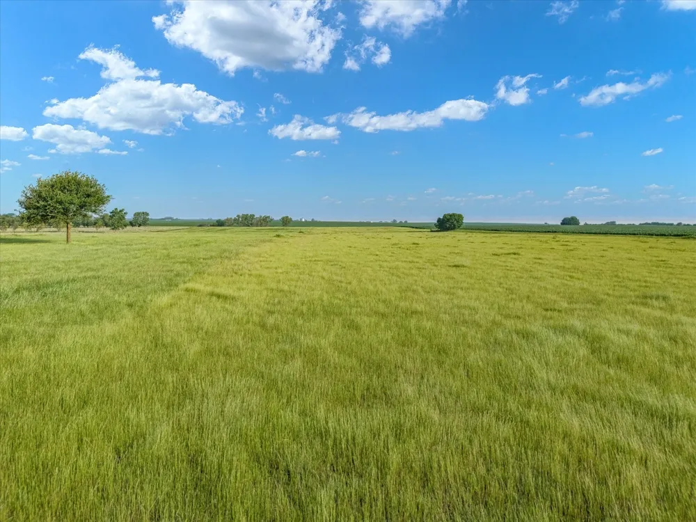 HCR 4123 Itasca, TX 76055