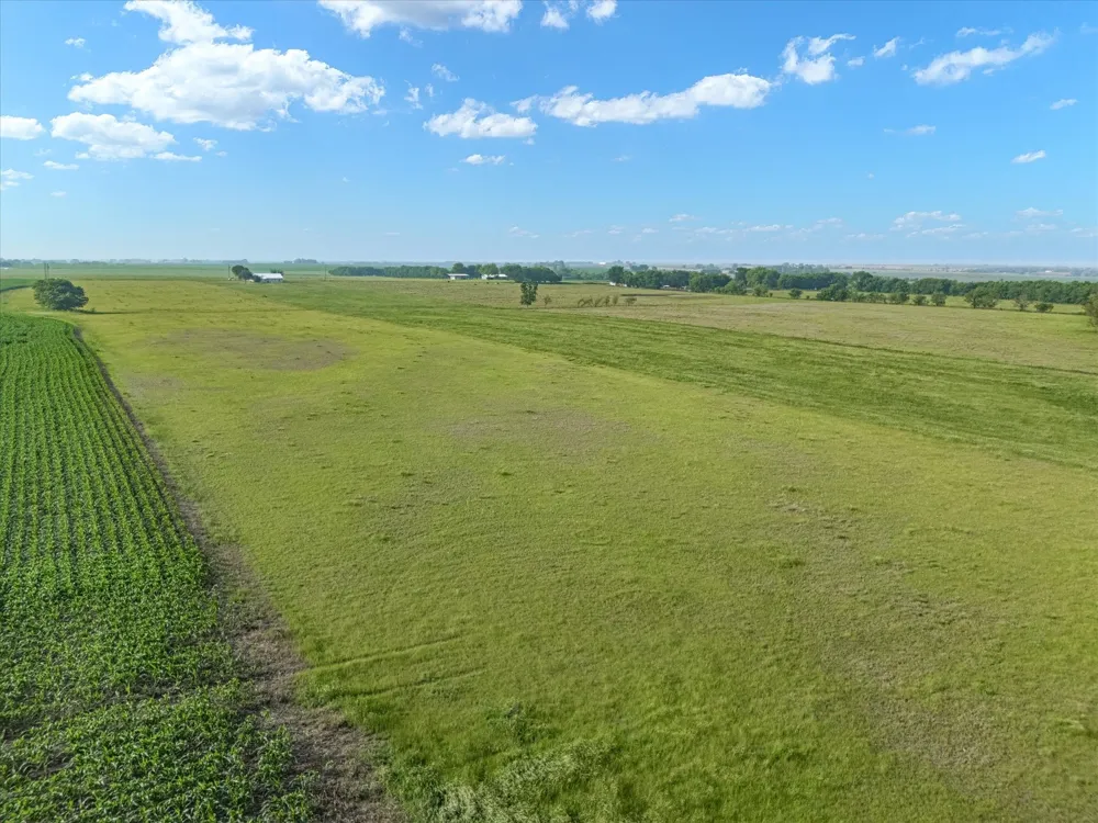 HCR 4123 Itasca, TX 76055