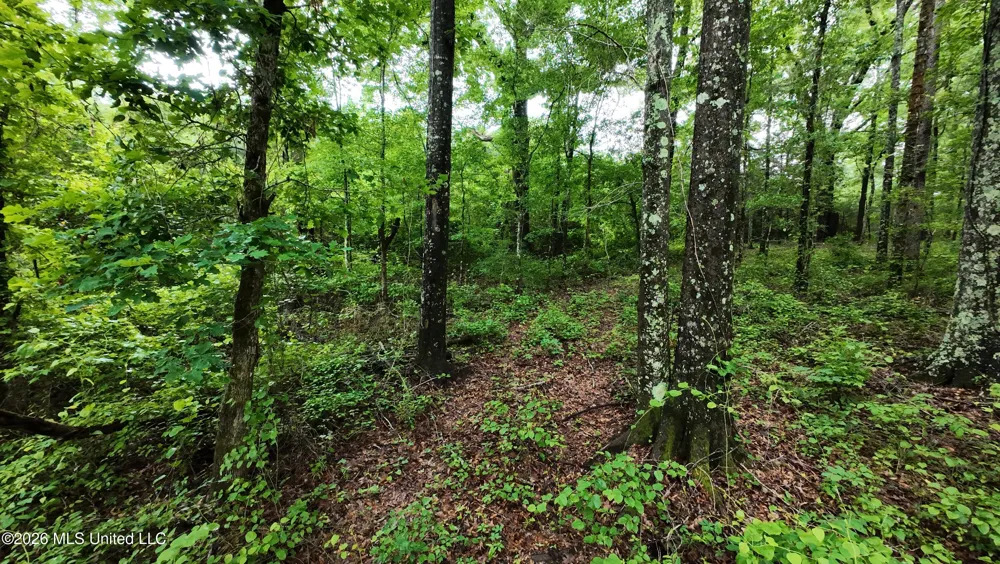6936 Hillsboro-ludlow Road Forest, MS 39074