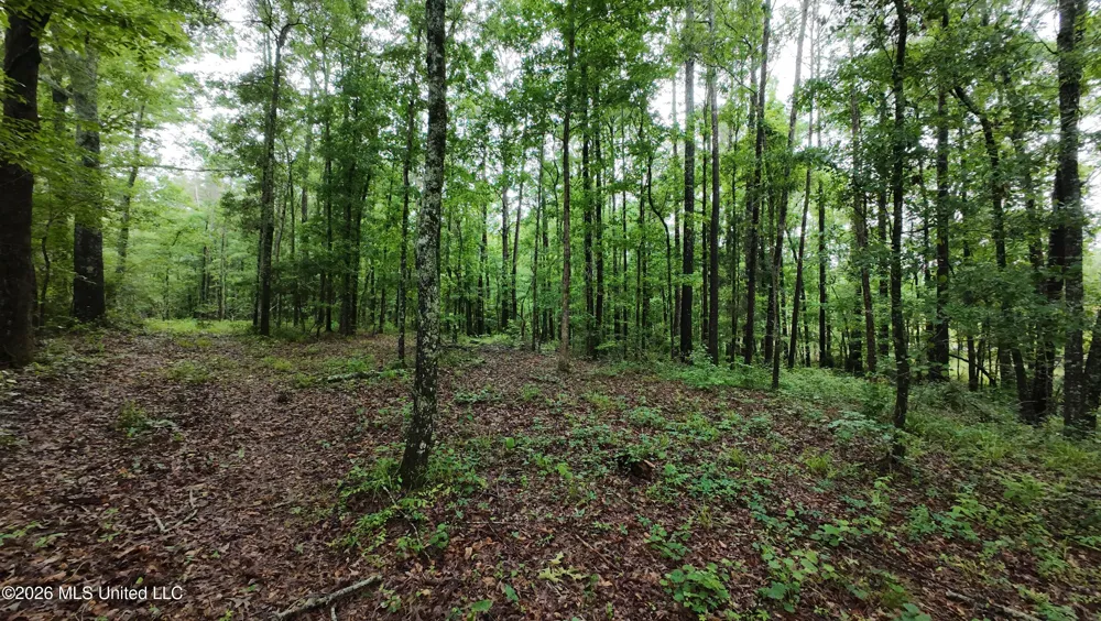 6936 Hillsboro-ludlow Road Forest, MS 39074