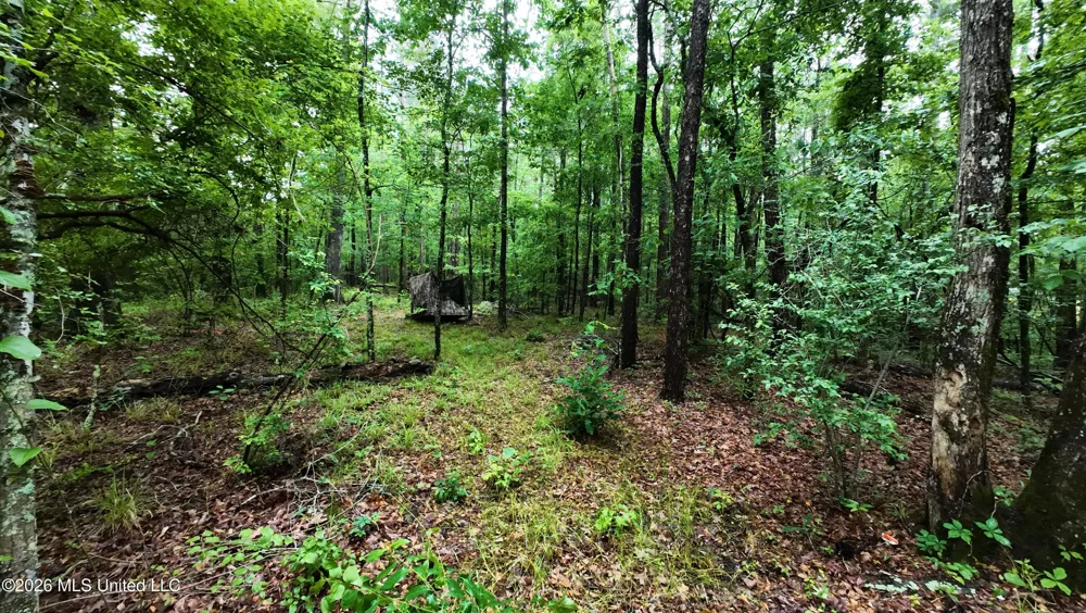 6936 Hillsboro-ludlow Road Forest, MS 39074