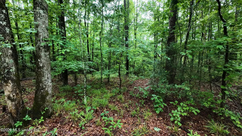 6936 Hillsboro-ludlow Road Forest, MS 39074